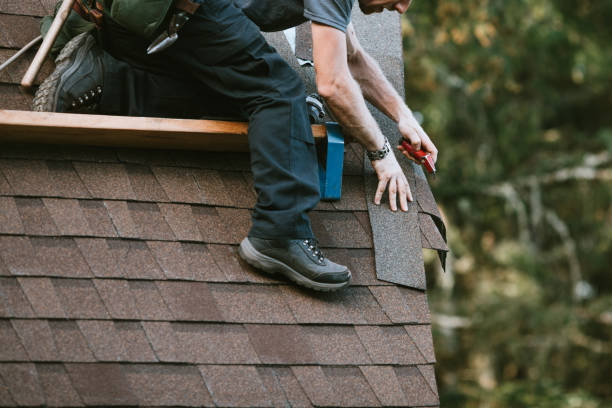 Best Local Roofing Companies  in Avilla, IN